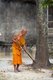 Thailand: Monk sweeping leaves, Wat Sao Thong, Nakhon Sri Thammarat